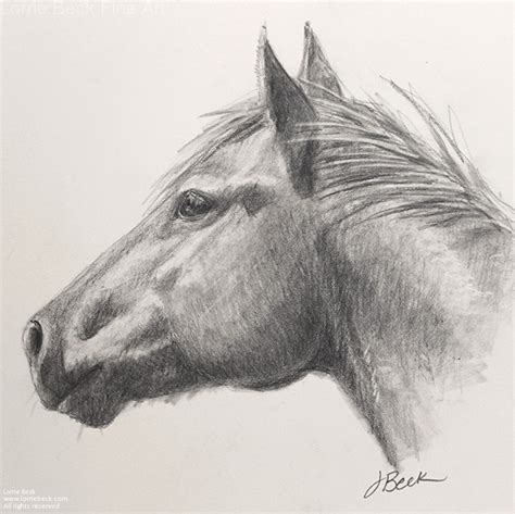 drawings of horseheads.
